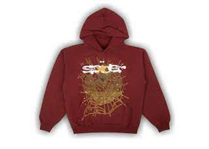 SP5DER Logo Hoodie Burgundy/Maroon