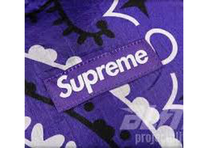 Supreme Purple bandanna blanket