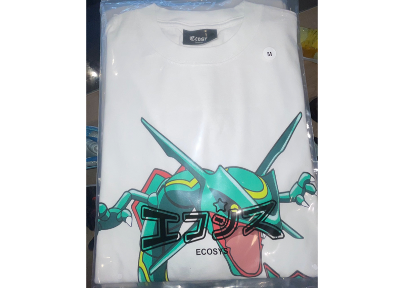 ECOSYS WHITE TEE - GREEN DRAGON